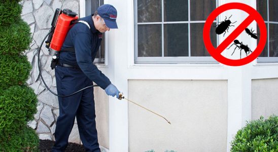 Düzköy Gümüşkurt İlaçlama böcek ilaçlama ve haşere kontrolü — ilaclama-tr.com
